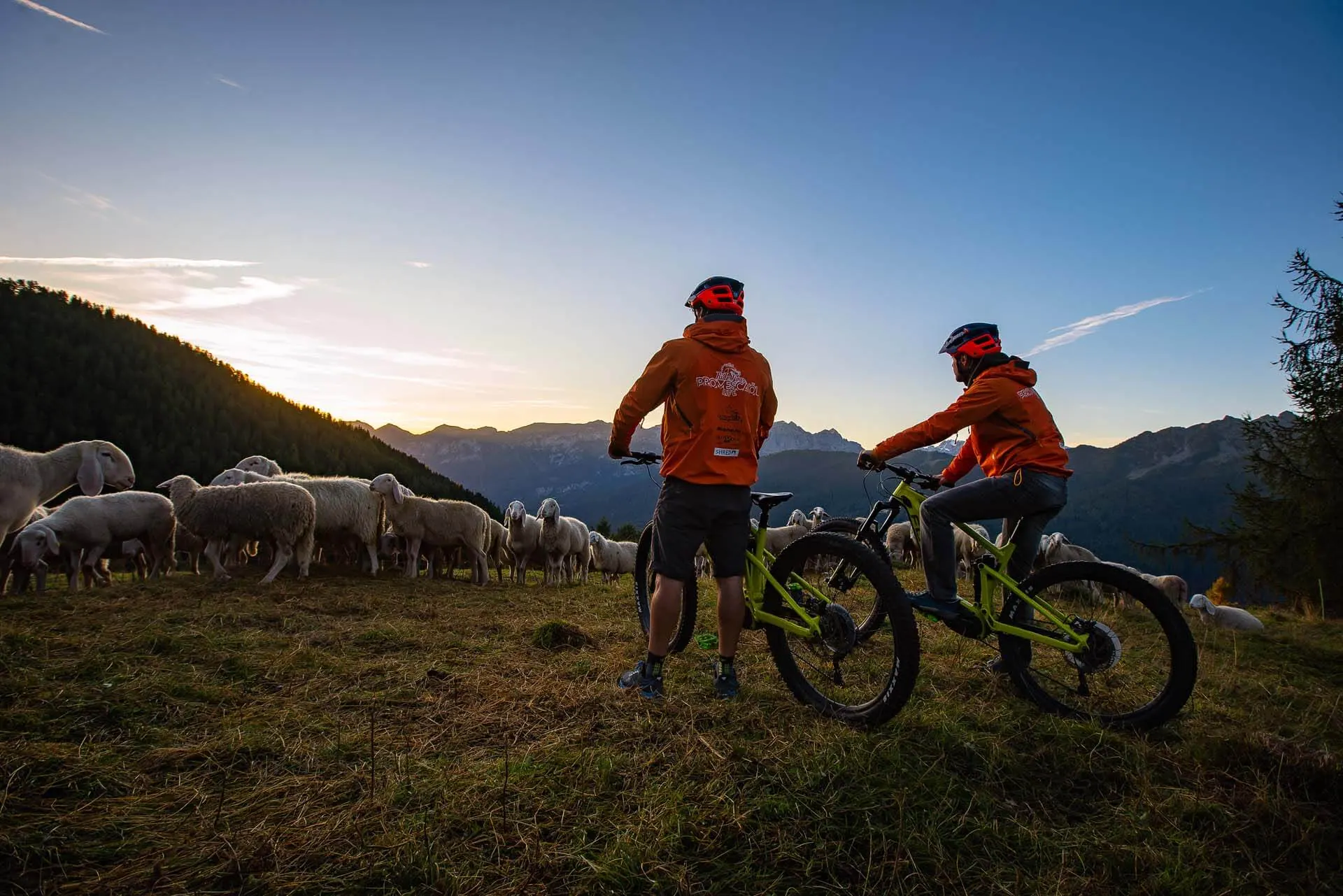 Image without description