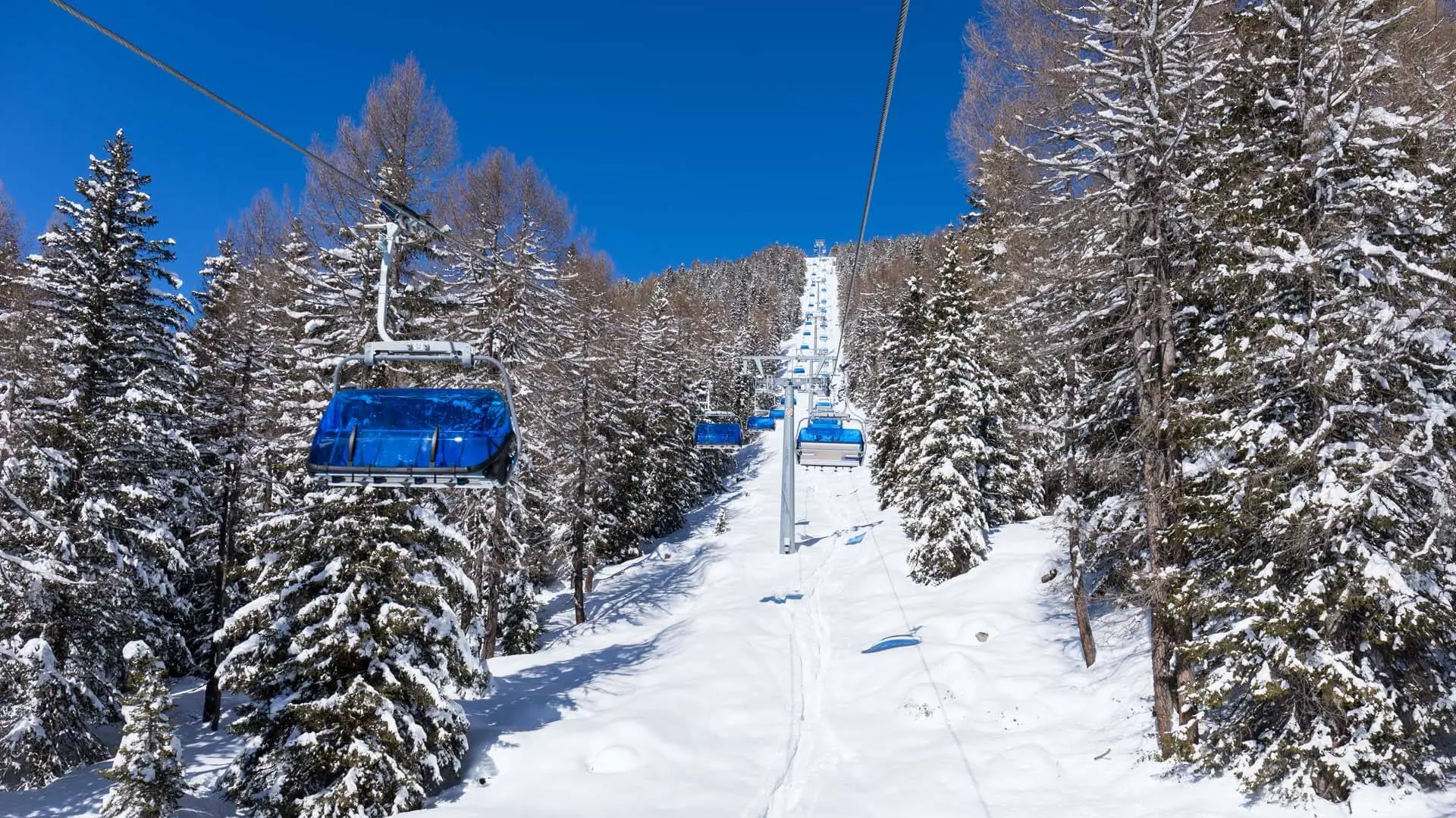 Immagine senza descrizione